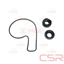 Moto Express SU POMPA KEÇESİ TAKIM NS200