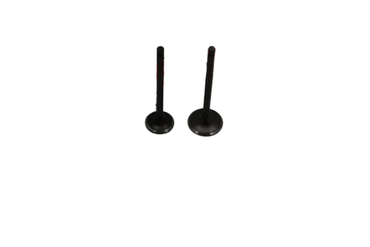 ACTİVA S 125 SÜBAP TK OEM