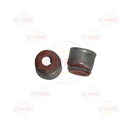 Moto Express SUPAP KEÇESİ APACHE DEMİR T.K