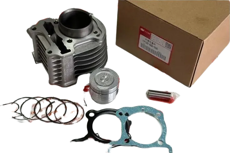 SPACY 110 SİLİNDİR KİT WUYANG OEM