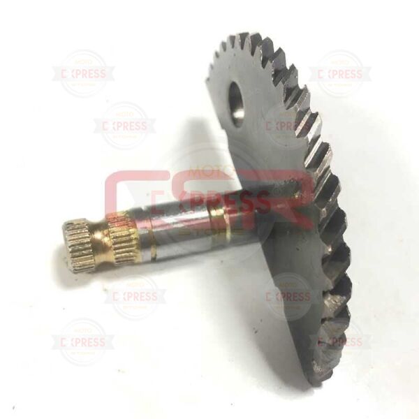 Moto Express MARŞ MİLİ SC50