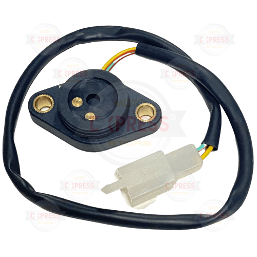 Moto Express VİTES MÜŞÜRÜ CRYPTON