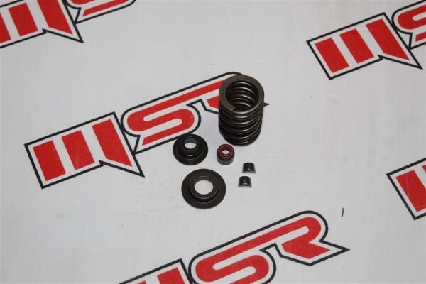 Bajaj F 250 - N 250  Egzos Sübap Yay Pul Keçe Setia