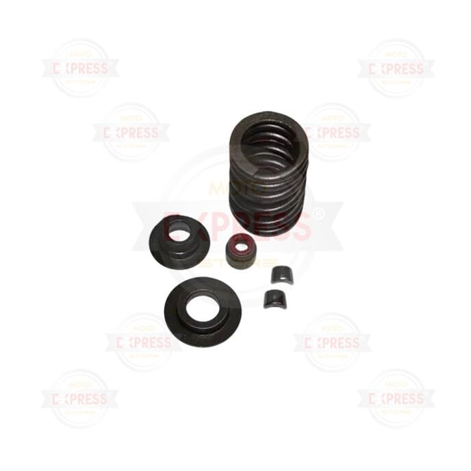 Bajaj F 250 - N 250  Egzos Sübap Yay Pul Keçe Setia