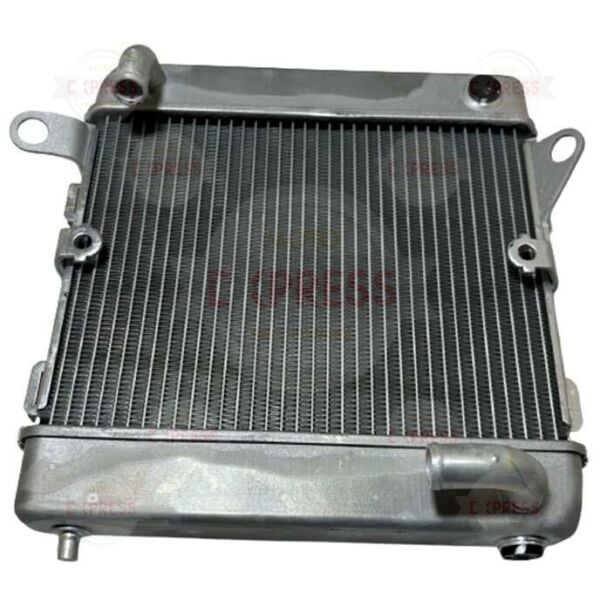 Honda Forza250 2018-2020 Radyatör A