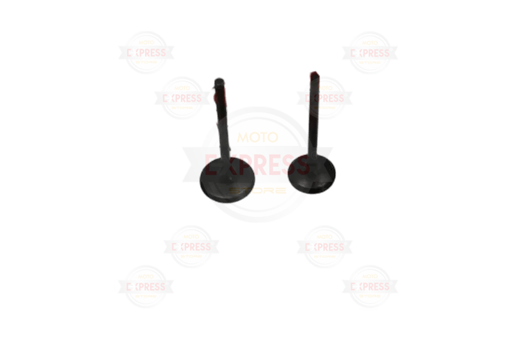 Honda Cbf 150  Subap Takımı Oem