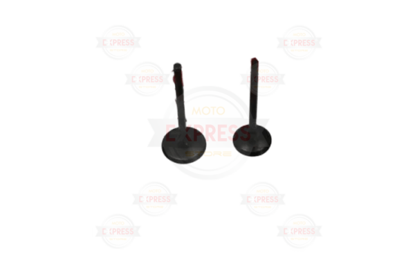 Honda Cbf 150  Subap Takımı Oem
