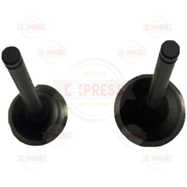 Honda Spacy 110 Subap Takımı Emme Egzoz Subabı DQ