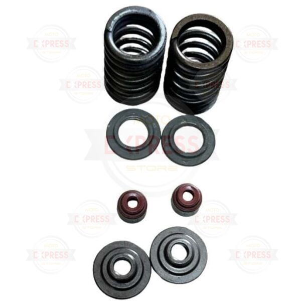 Bajaj Pulsar Ns125 2'li Subap Keçesi Yayı Pimi Seti A