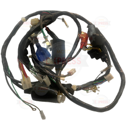 Moto Express TESİSAT ACTİVA ESKİ MODEL SWISS