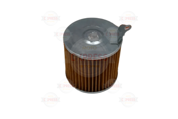 Activa Hava Filtresi Hint