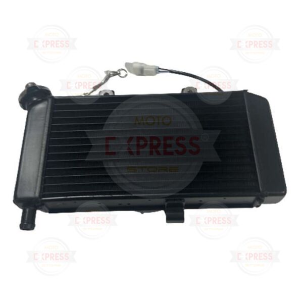 CFMoto 250NK 2018-2022 Euro4 Fan Dahil Radyatör Komple A