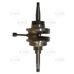 Moto Express KRANK TODAY