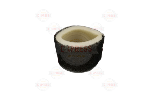 Honda Kınetıx Filtresi Sünger