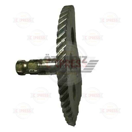 Moto Express MARŞ MİLİ TODAY