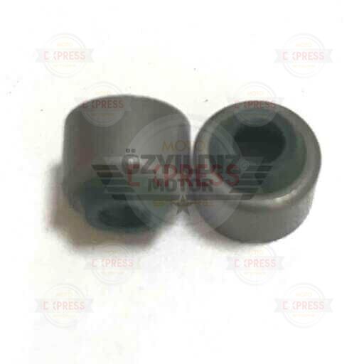 SUPAP KEÇESİ YAMAHA XMAX TAKIM