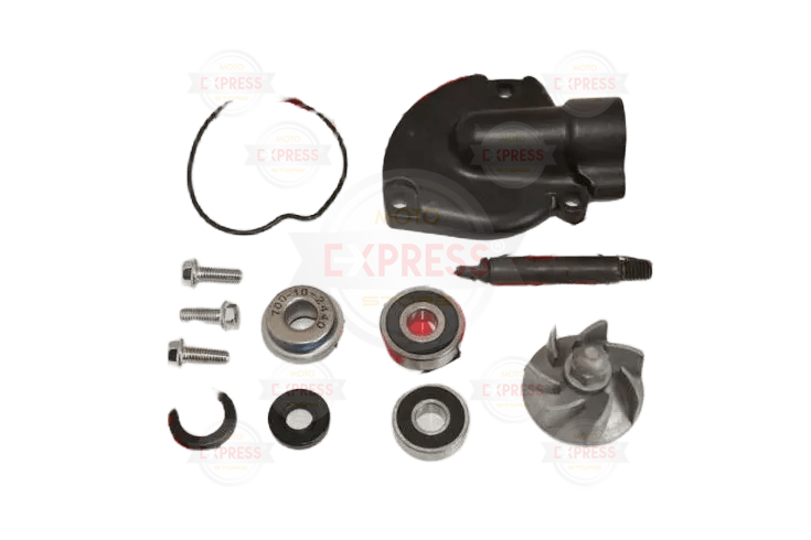 Regal Raptor Dd350E-6C   Dd250-9A   Mr Destro 350 Su Pompa