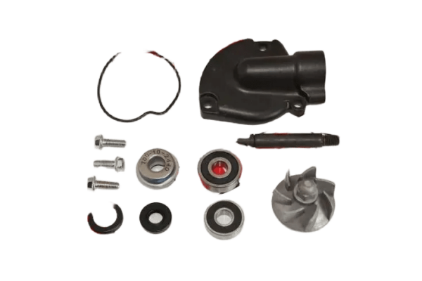 REGAL RAPTOR DD350E-6C   DD250-9A   MR DESTRO 350 SU POMPA
