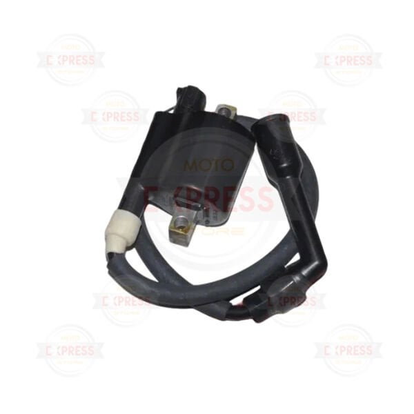 Bajaj Domınar 400-D400 E5 Ateşleme Bobini Sağ A