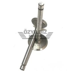 Moto Express SUPAP YBR125  TK