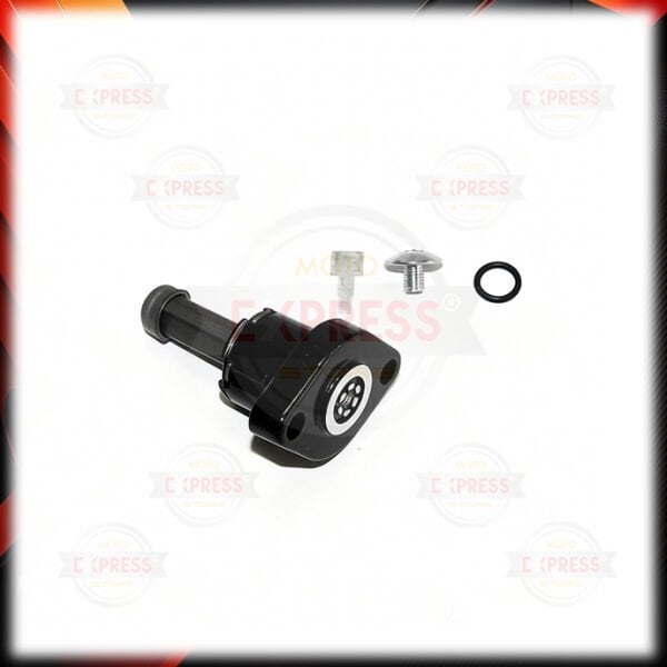 Bajaj Pulsar 150 Eksantrik Gergisi