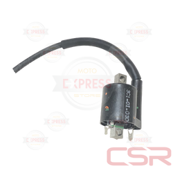 Moto Express ATEŞLEME BOBİNİ NMAX A