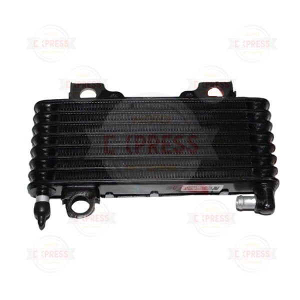 Bajaj F 250 - N 250 Yağ Radyatörü A