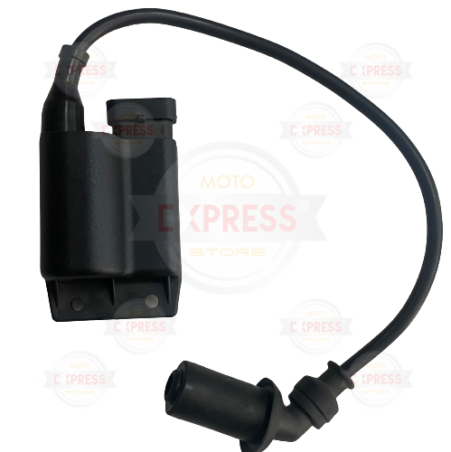 Moto Express BEYİN FLY100 OEM