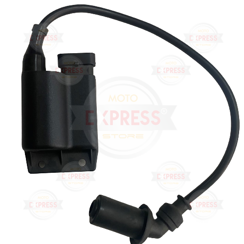 Moto Express BEYİN FLY100 OEM