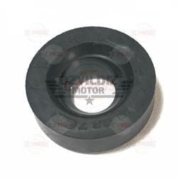 Moto Express DEBRİYAJ MİL KEÇESİ RX 115