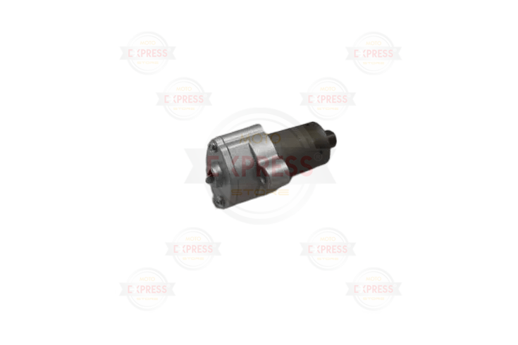 Suzuki Gn 250 Eksantrik Zincir Gergi