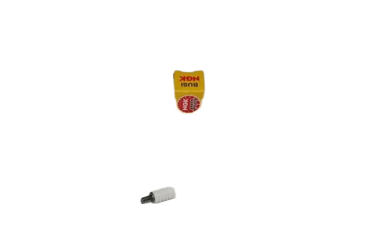 NGK BUJI CPR9EA-9 CBF
