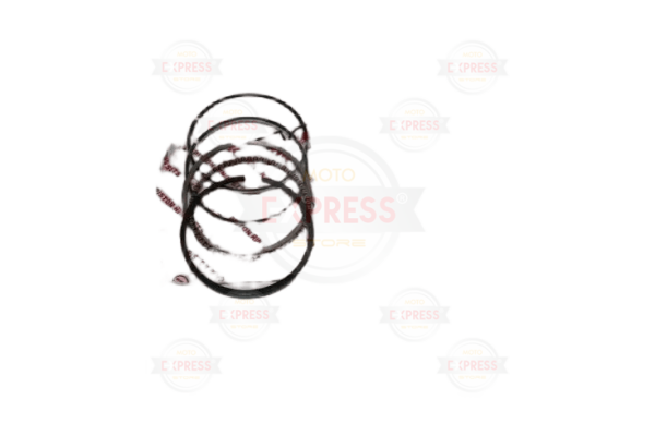 Honda Activa 100 Segman Tk Rık