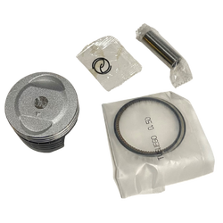 Moto Express PİSTON SEGMAN WEGO 025 CSR