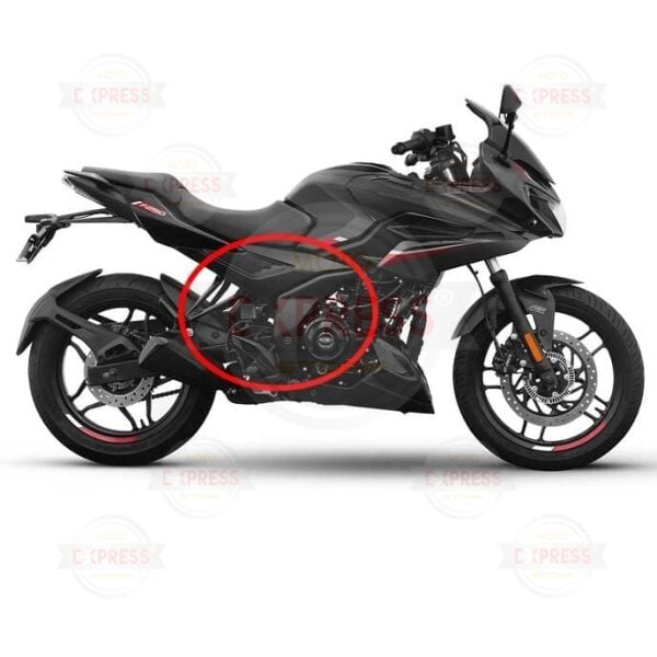 Bajaj Pulsar F250 Sağ Sürücü Selesi Altı Yan Kapak Grenajı Paneli Mat A