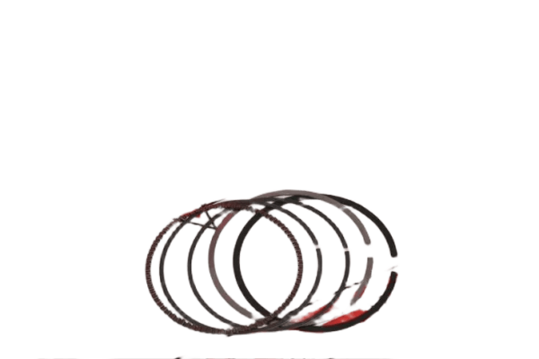 SYM JOYRIDE 200 SEGMAN TK 61 mm RIK