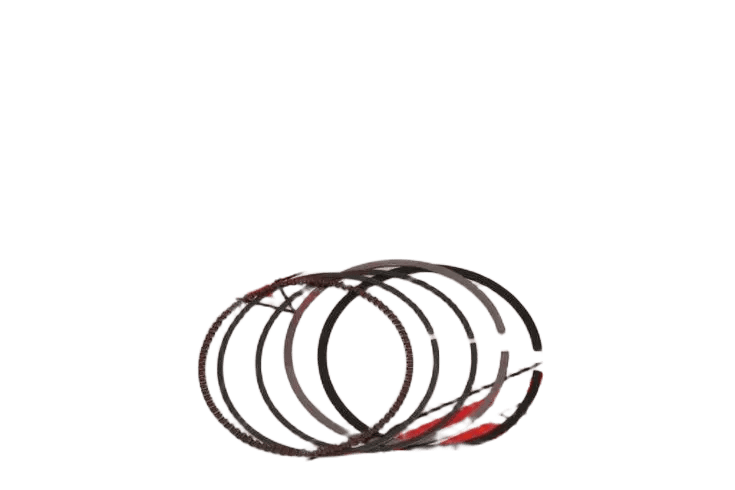 PULSAR NS 200 SEGMAN TK RIK