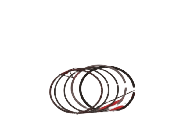 PULSAR NS 200 SEGMAN TK RIK