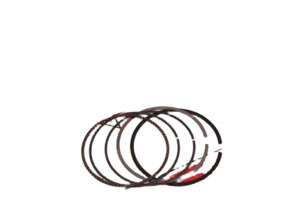 XMAX 250 SEGMAN TK 69 mm RIK
