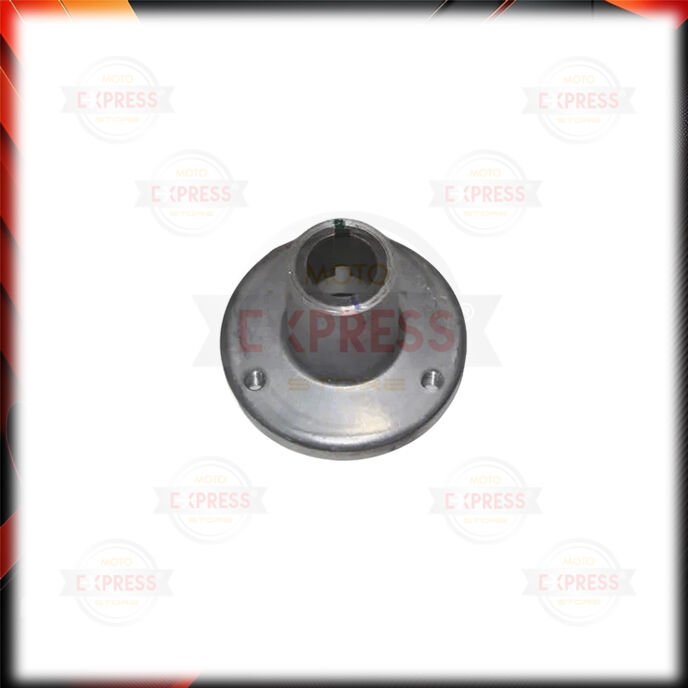 Tvs Raider 125 Yağ Hunigi A N5081170