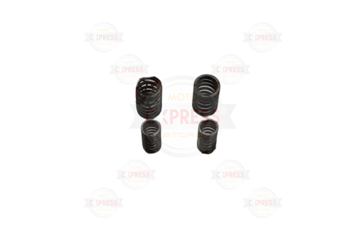 Honda Msx 125 Subap Yayı Tk