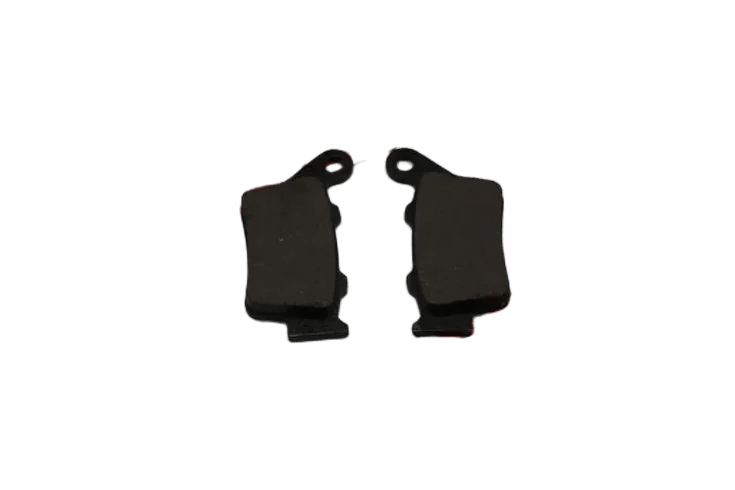 PULSAR NS 200 DİSK BALATA ARKA A