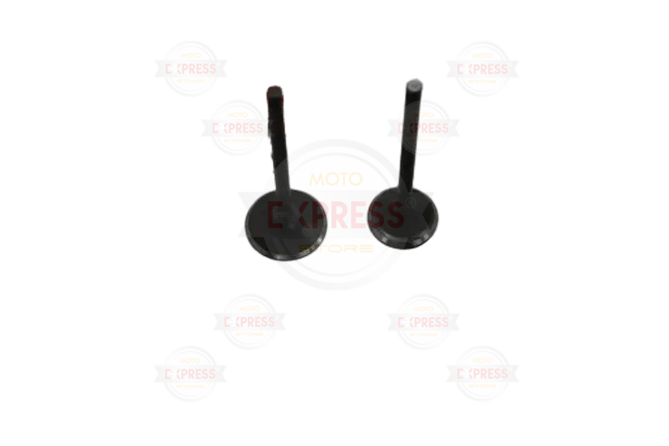 Str 250-Yuki İzci  Subap Tk