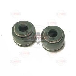 Moto Express SUPAP KEÇESİ TITAN