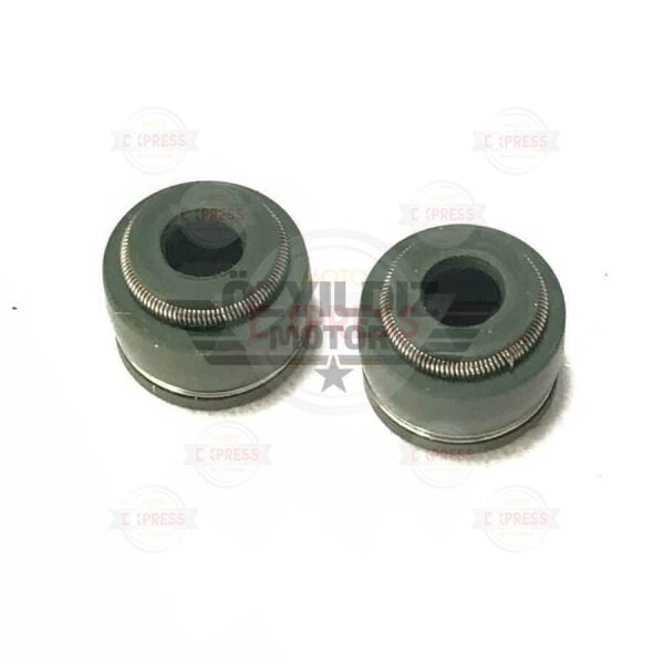 Moto Express SUPAP KEÇESİ TITAN