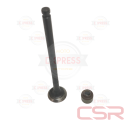 Moto Express SUPAP EGZOZ  NMAX A