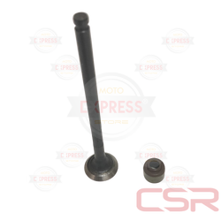 Moto Express SUPAP EGZOZ  NMAX A