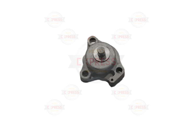 Hyosung Gt 250 Yağ Pompası