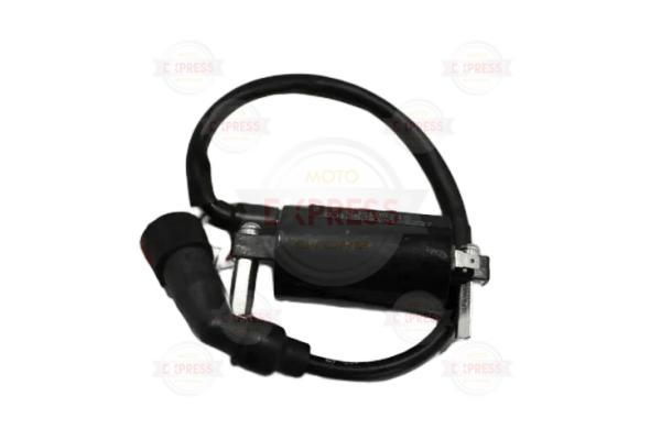 Rks 150 Titanic Ateşleme Bobini Orjınal