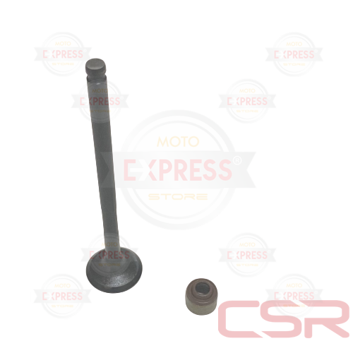 Moto Express SUPAP EMME NMAX A KÜÇÜK